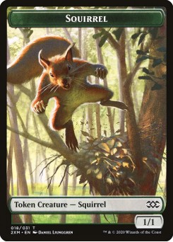 Squirrel