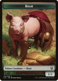 Boar