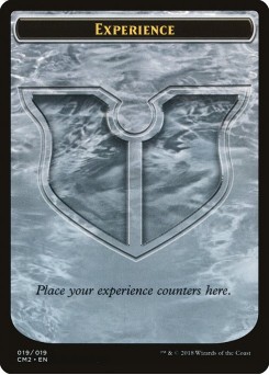 Experience
