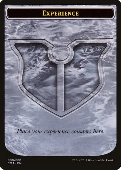 Experience
