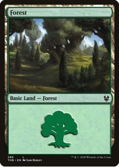 Floresta