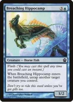 Hipocampo Saltador