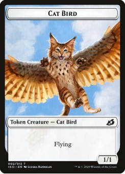 Cat Bird