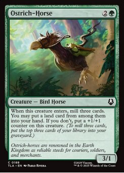 Ostrich-Horse