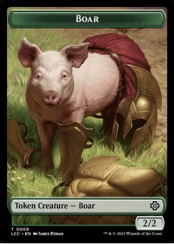 Boar