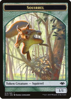 Squirrel