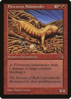 Salamandra de Rochafluente