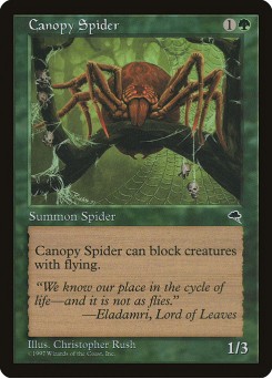 Aranha Baldaquina