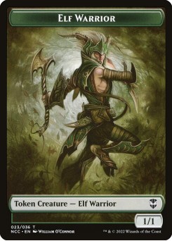 Elf Warrior