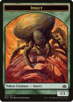 Insect