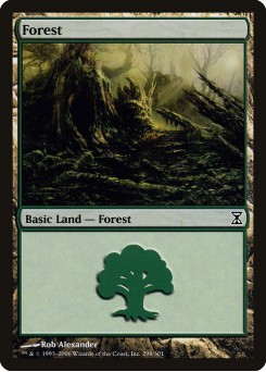 Floresta