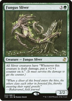 Fungo Fractius