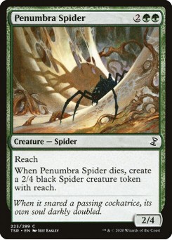 Aranha da Penumbra