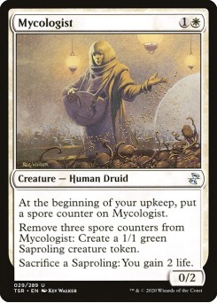 Micologista