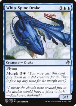 Dragonete Caudaçoitador
