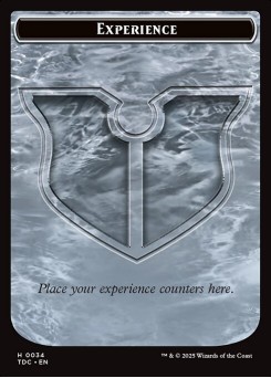 Experience