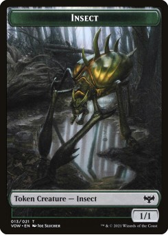 Insect