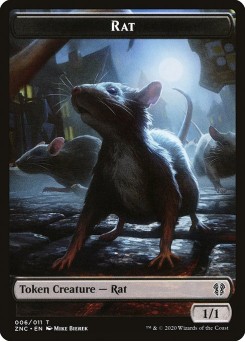Rat