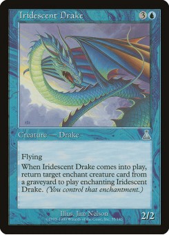 Dragonete Iridescente