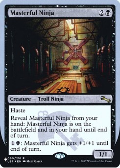 Masterful Ninja