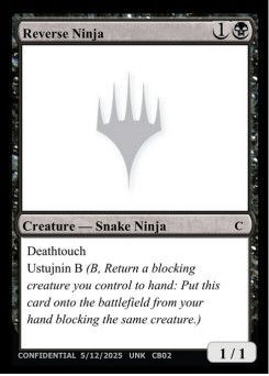 Reverse Ninja