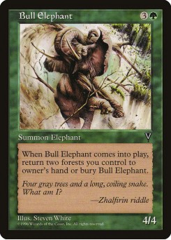 Elefante Macho