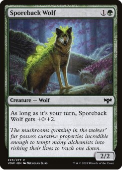 Lobo Dorso de Esporos
