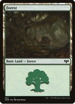 Floresta