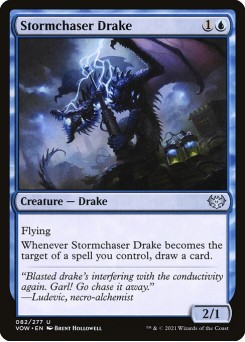 Dragonete Caçador de Tempestades
