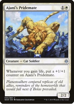 Companheiro de Bando de Ajani