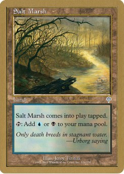Salt Marsh