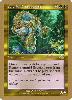 Anurid Brushhopper