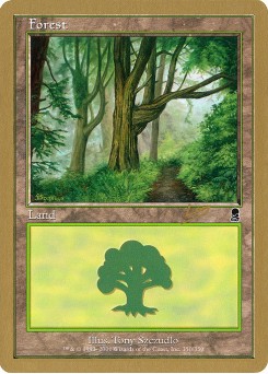 Forest