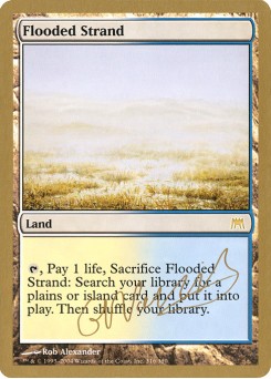Flooded Strand
