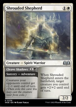 Shrouded Shepherd // Cleave Shadows
