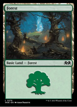 Floresta
