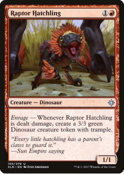 Cria de Raptor