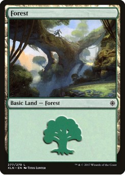 Floresta