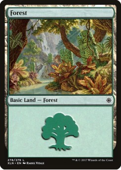 Floresta