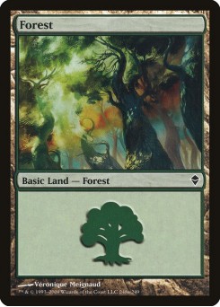 Forest