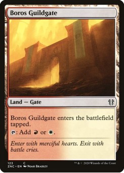 Portão da Guilda Boros