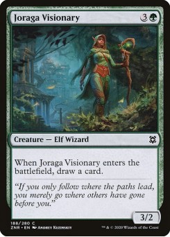Visionária Joraga