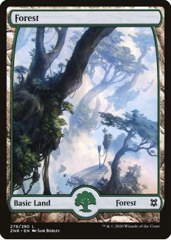 Floresta