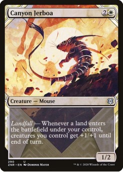 Jerboa-do-cânion