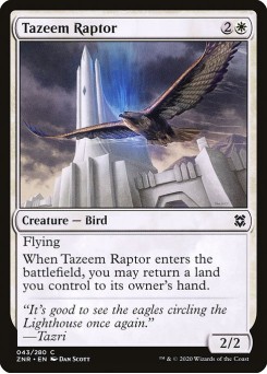 Raptor de Tazeem