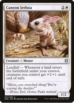 Jerboa-do-cânion