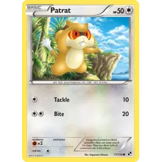 Patrat