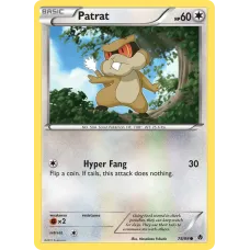 Patrat