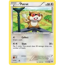 Patrat