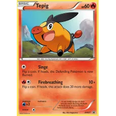 Tepig